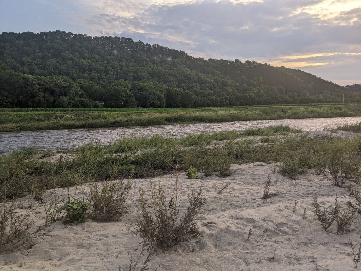 In Two Parts: Canoeing Minnesota’s Root&nbsp;River